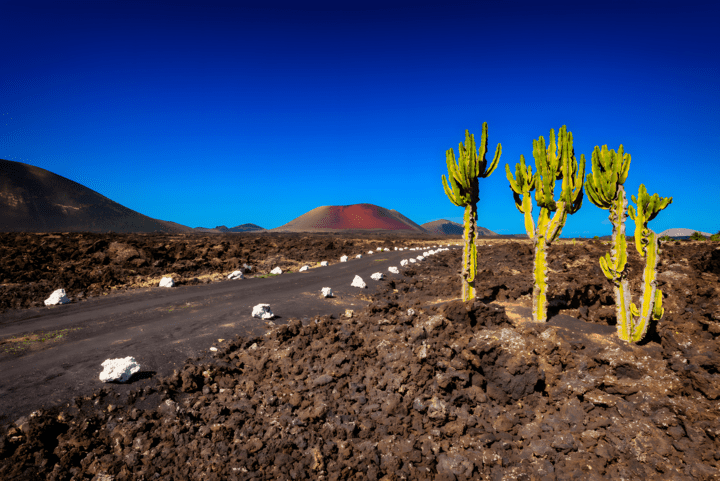 Straße auf Lanzarote