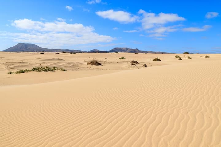 Dünen in Corralejo