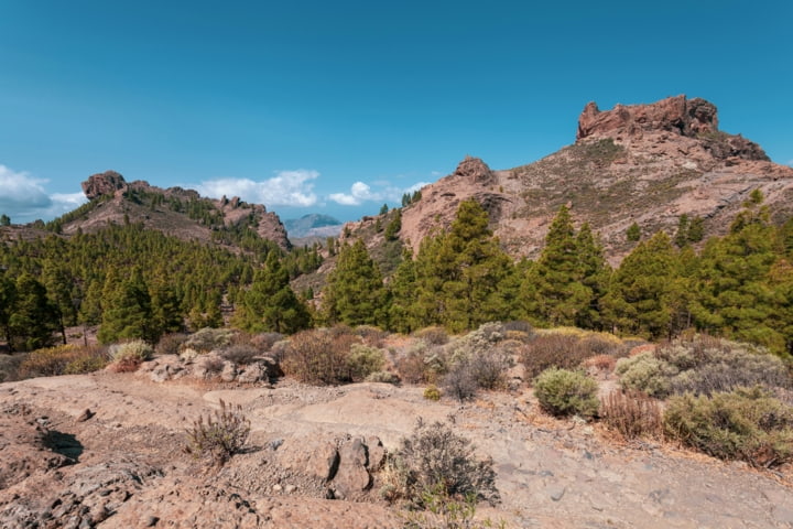 Weg zum Roque Nublo