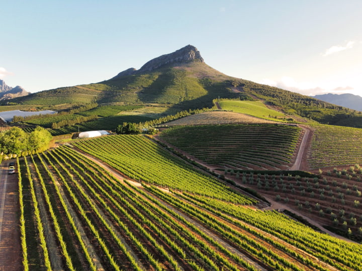 Landschaft in Stellenbosch