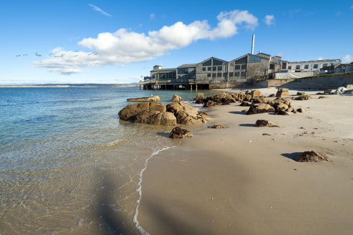 Monterey Bay Aquarium