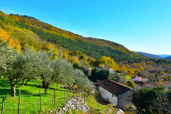  Smokvica Weinberge