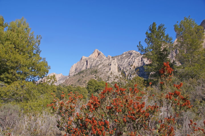 Natur in der Nähe der Canelobre Höhlen