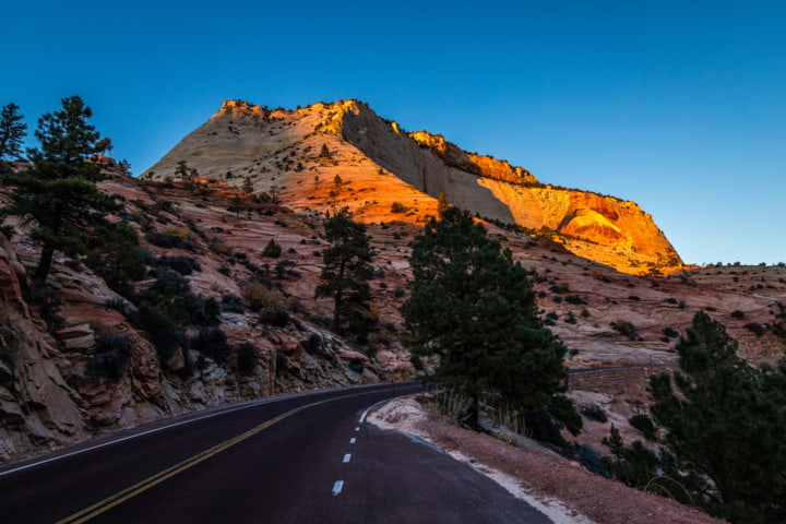 Straße im Zion Nationalpark