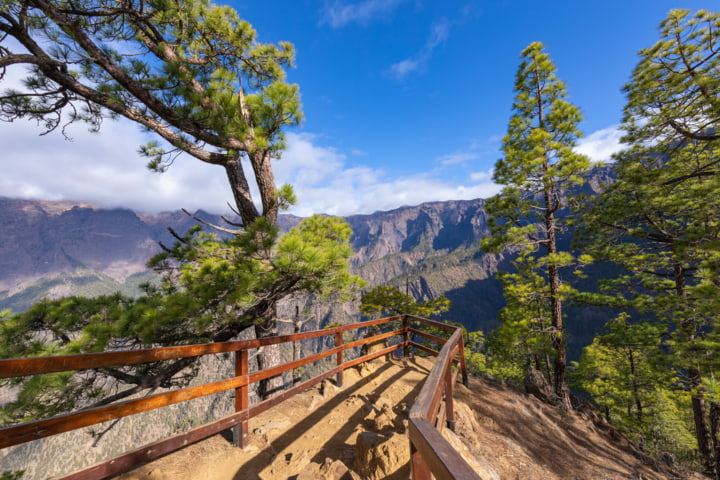  Aussichtspunkt im Nationalpark