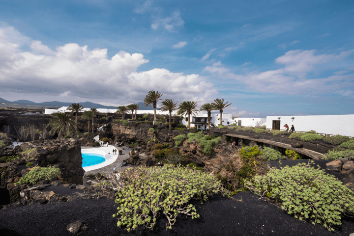 Das Wasser und die Palmen in der Umgebung von Jameos del Algua