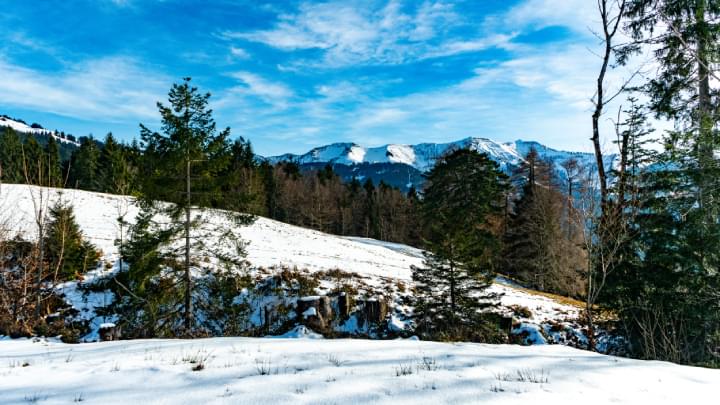 Dornbirn