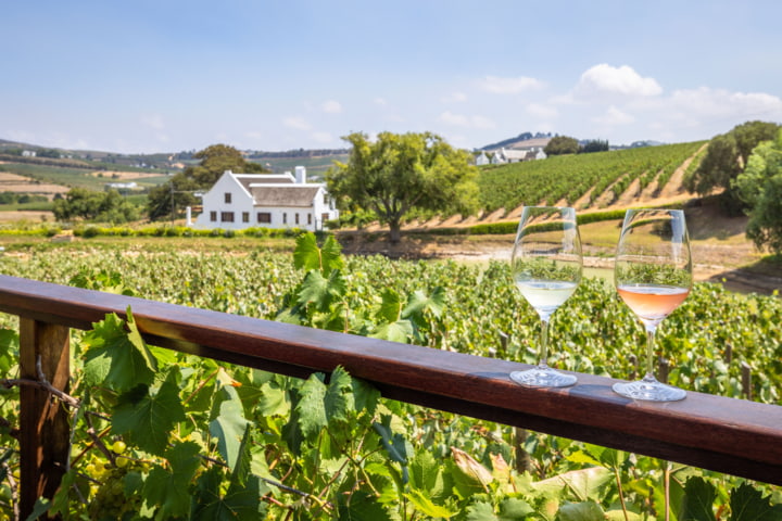 Weinverkostung in Stellenbosch