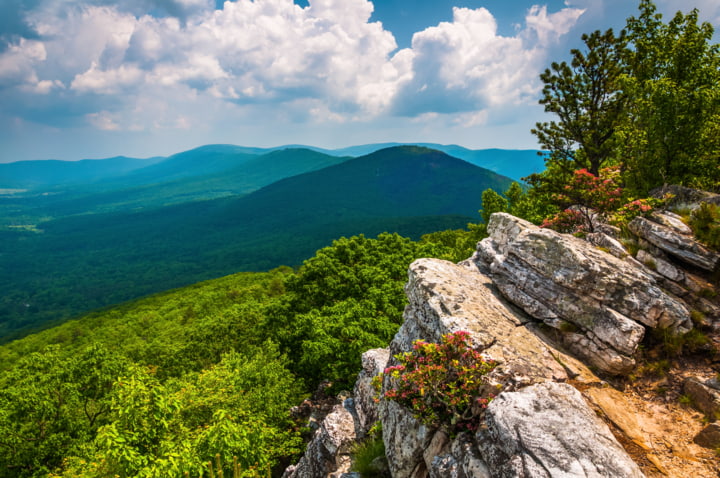 Der George Washington National Park in West Virginia