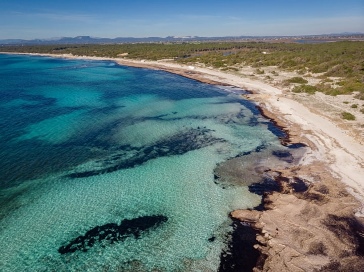 Blick auf den naturbelassenen Strand Es Trenc