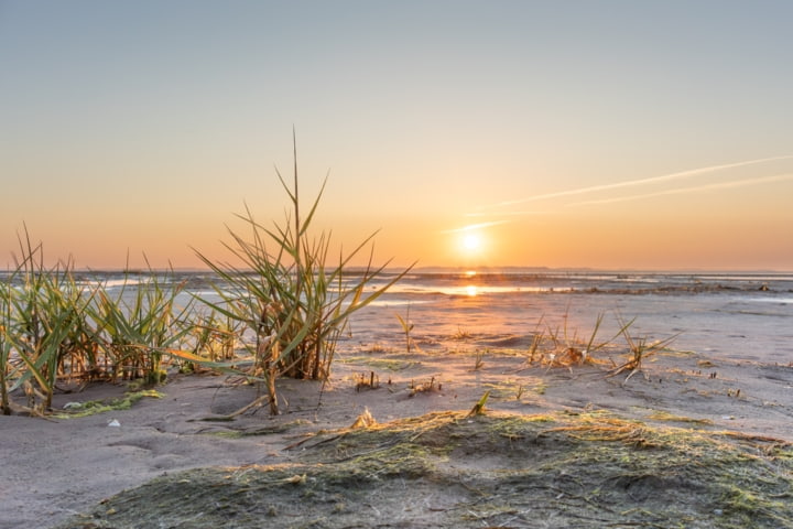 Wattenmeer