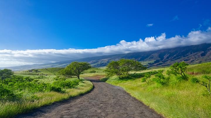 Straße ins Landesinnere, Hawaii