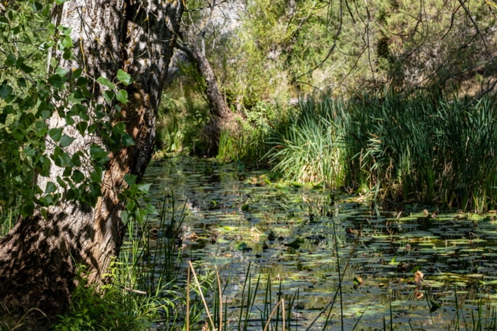 Parque Natural del Cañón del Río Lobos