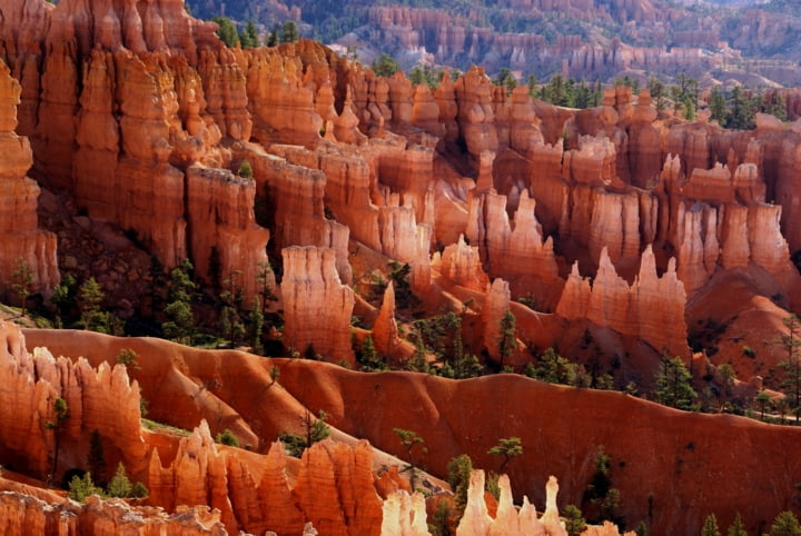 Hoodoos im Bryce Canyon