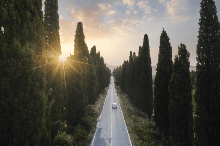 Alee in Siena