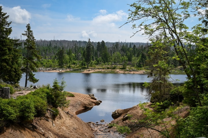 Harz Nationalpark