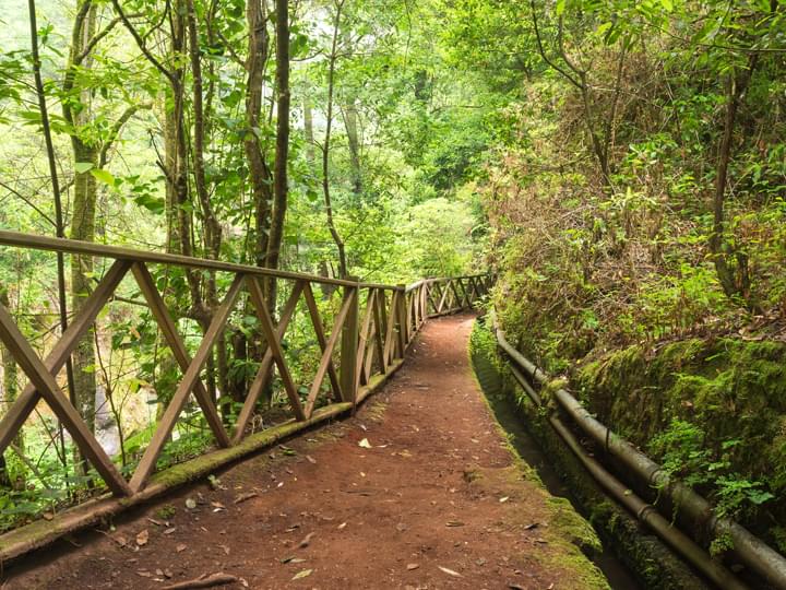 Wanderwege auf La Palma