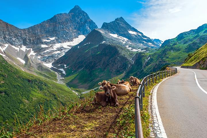 Schweizer Alpen