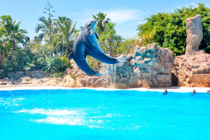 Loro Parque