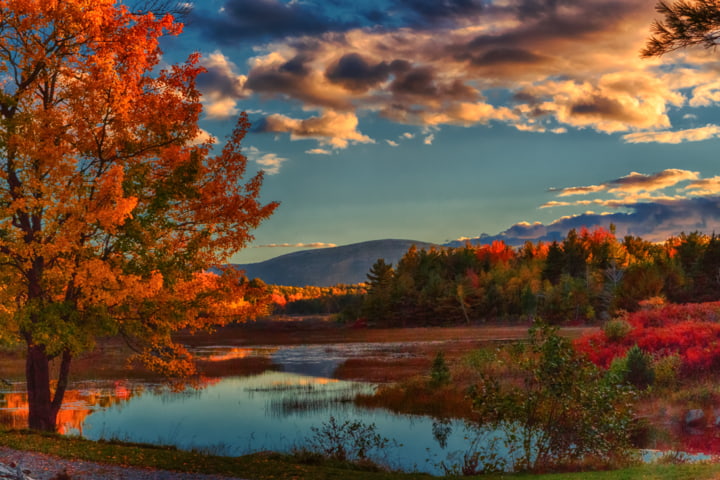 Acadia National Park