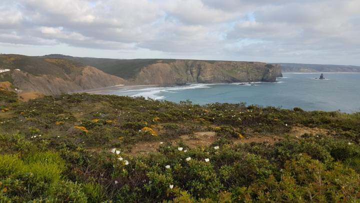 Parque Natural do Sudoeste Alentejano e Costa Vicentina