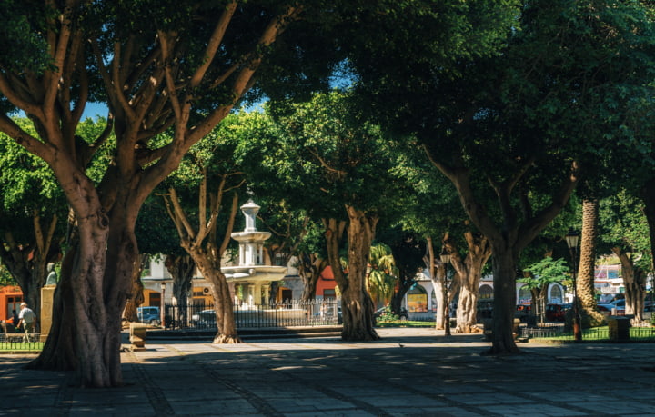 Plaza del Adelantado