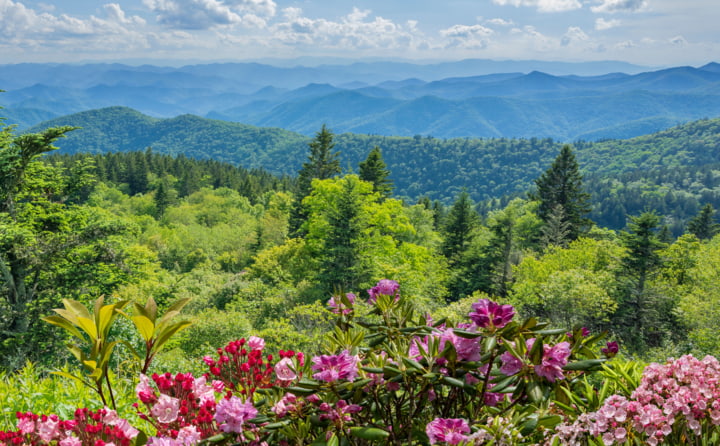 Panoramablick auf die Great Smokey Mountains