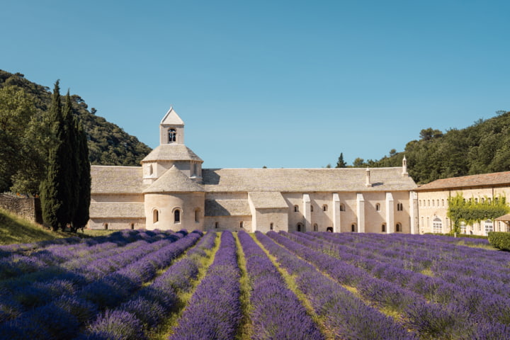 Lavendelfeld in der Provence