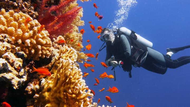 Great Barrier Reef