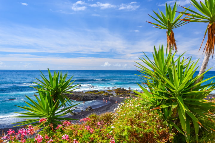 Natur am Strand