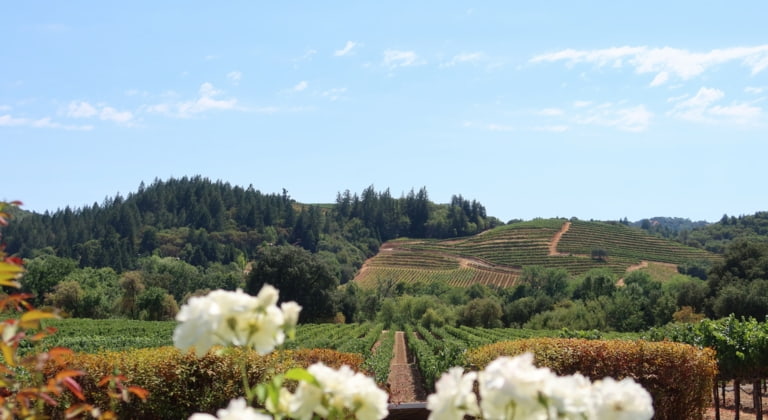Napa Valley