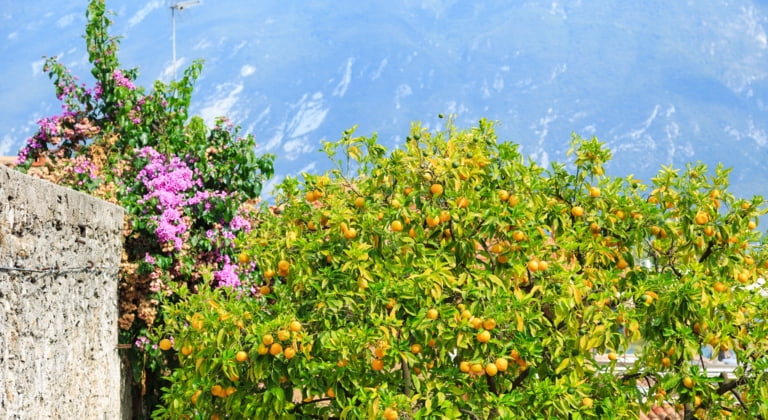  Limone sul Garda