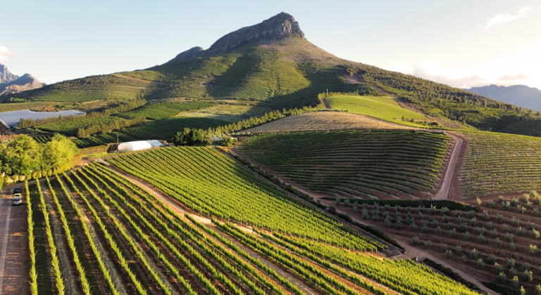 Stellenbosch