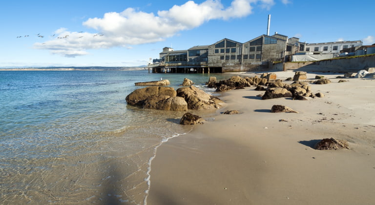 Monterey