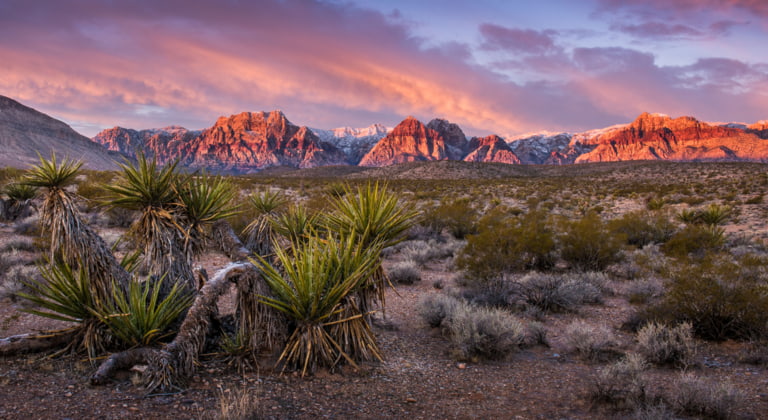 Zeigt ein Bild der Destination USA