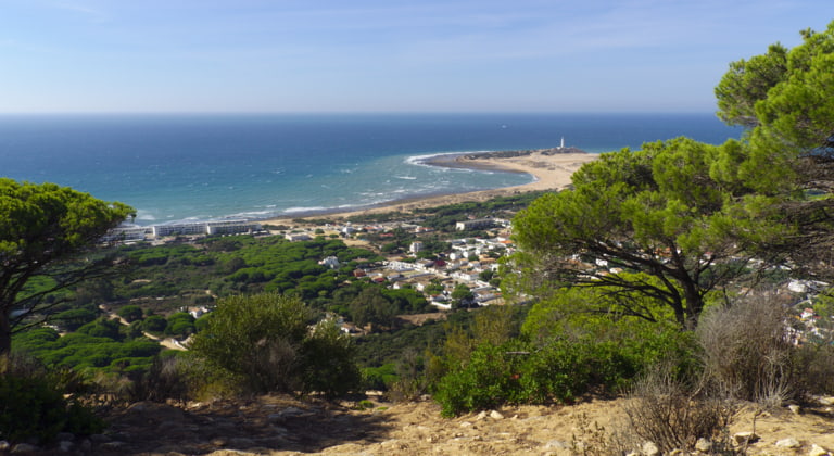 Barbate