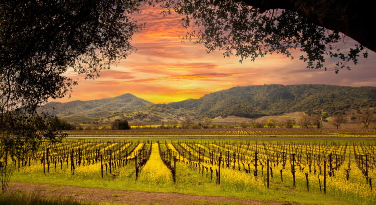 Napa Valley