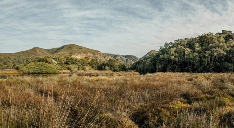 Tsitsikamma Nationalpark	