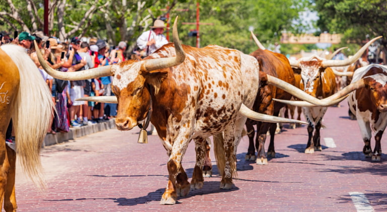 Fort Worth