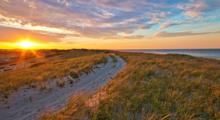 Cape Cod