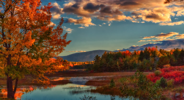 Acadia National Park