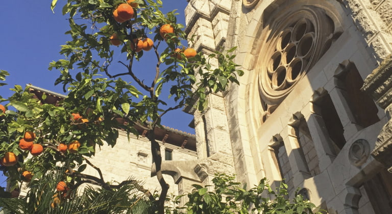 Sóller
