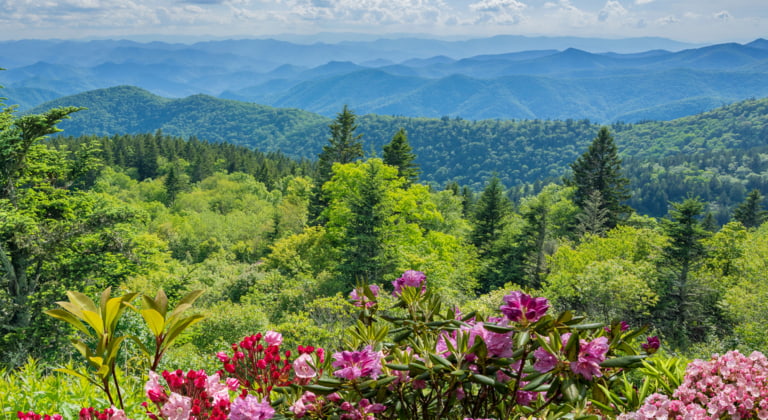 Great Smoky Mountains Nationalpark, Tennessee
